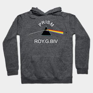 PRISM  ROY .G. BIV Hoodie